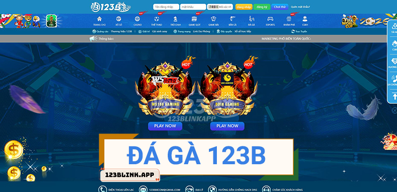 Đá gà 123B
