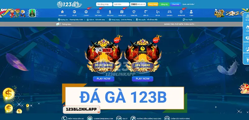 Đá gà 123B
